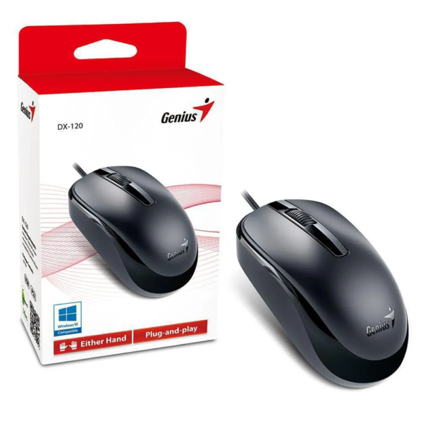 MOUSE GENIUS DX-120 USB Negro